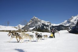 Kandersteg 2011